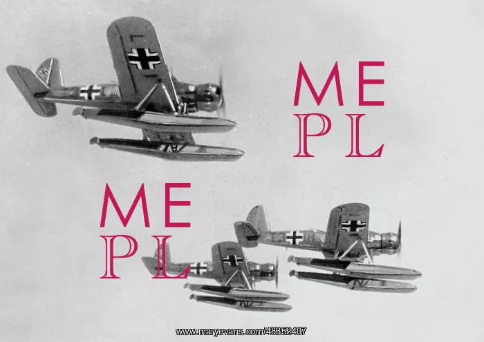 : Arado Ar 196 Seaplane, 1940 : Arado Ar 196 Seaplane, 1940