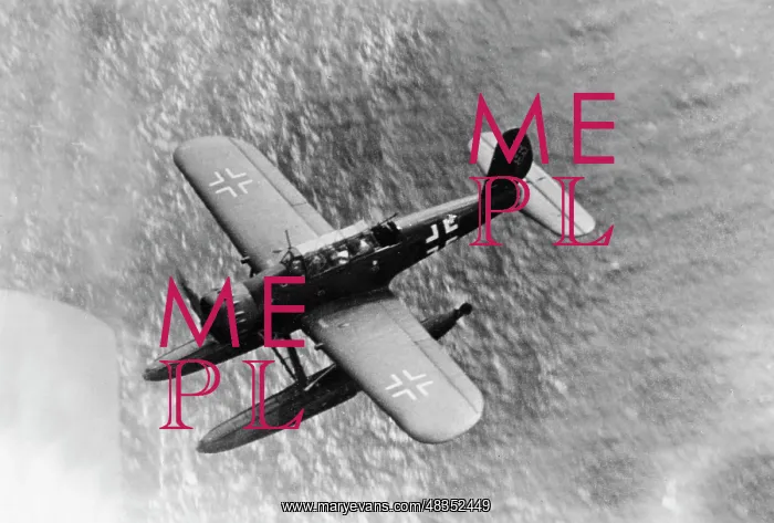 : Arado Ar 196 Seaplane, 1940 : Arado Ar 196 Seaplane, 1940
