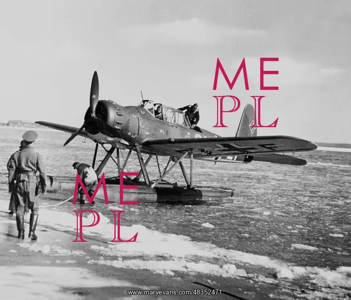 : Arado Ar 196 Seaplane, 1940 : Arado Ar 196 Seaplane, 1940