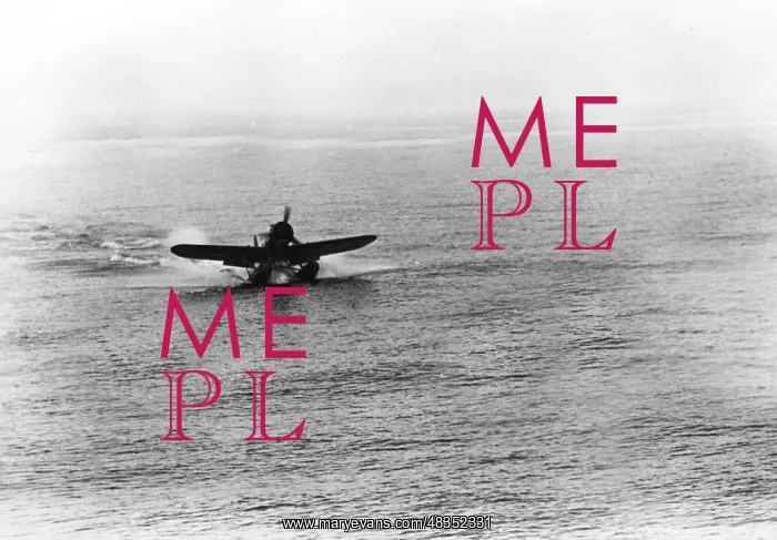 : Arado Ar 196 Seaplane, 1941 : Arado Ar 196 Seaplane, 1941