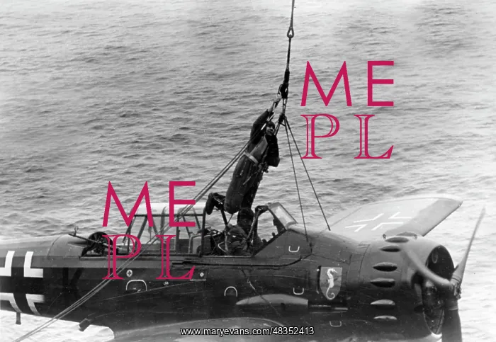 : Arado Ar 196 Seaplane, 1941 : Arado Ar 196 Seaplane, 1941