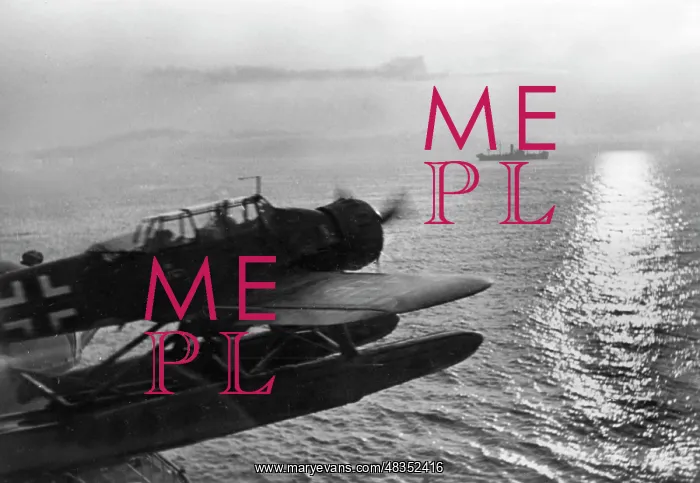 : Arado Ar 196 Seaplane, 1941 : Arado Ar 196 Seaplane, 1941