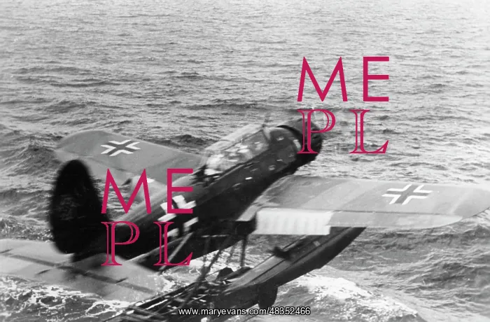 : Arado Ar 196 Seaplane, 1941 : Arado Ar 196 Seaplane, 1941