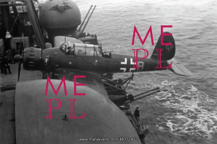 : Arado Ar 196 Seaplane, 1942 : Arado Ar 196 Seaplane, 1942