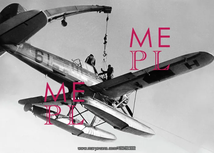 : Arado Ar 196 Seaplane : Arado Ar 196 Seaplane