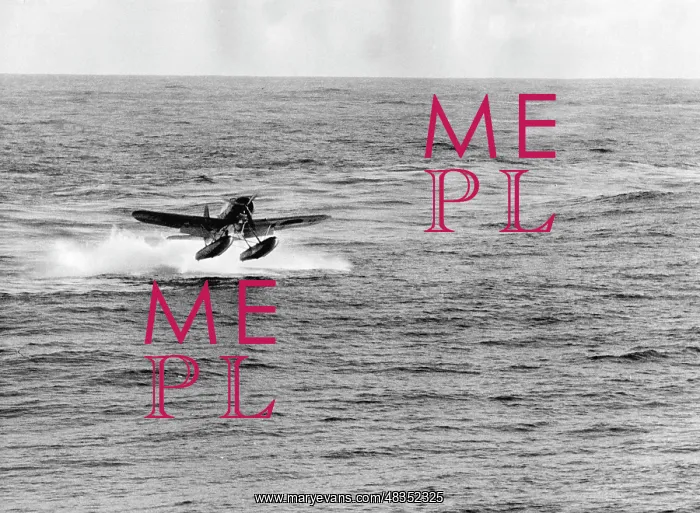 : Arado Ar 196 Seaplane : Arado Ar 196 Seaplane