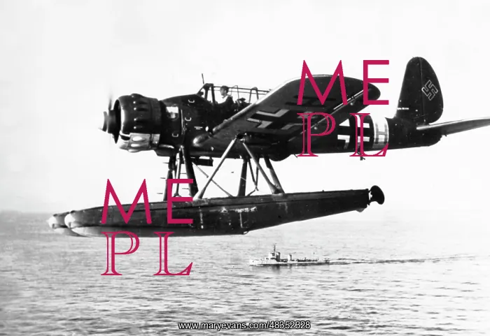 : Arado Ar 196 Seaplane : Arado Ar 196 Seaplane