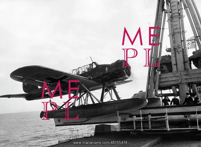 : Arado Ar 196 Seaplane : Arado Ar 196 Seaplane