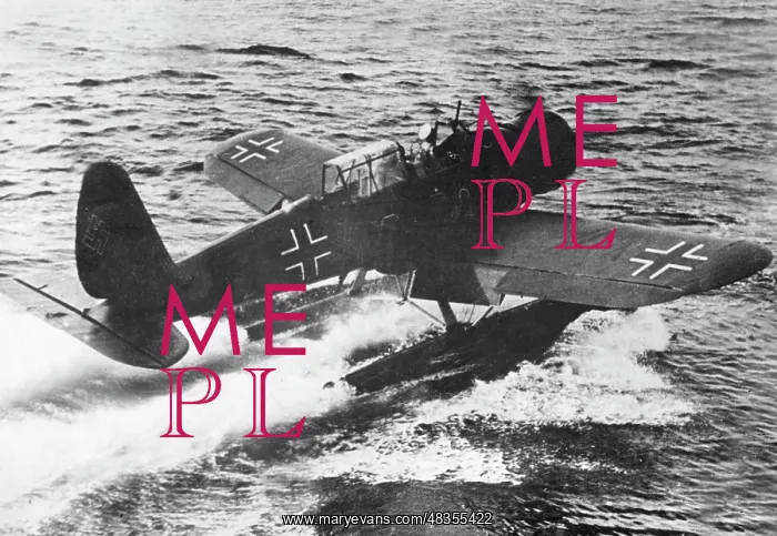 : Arado Ar 196 Seaplane : Arado Ar 196 Seaplane