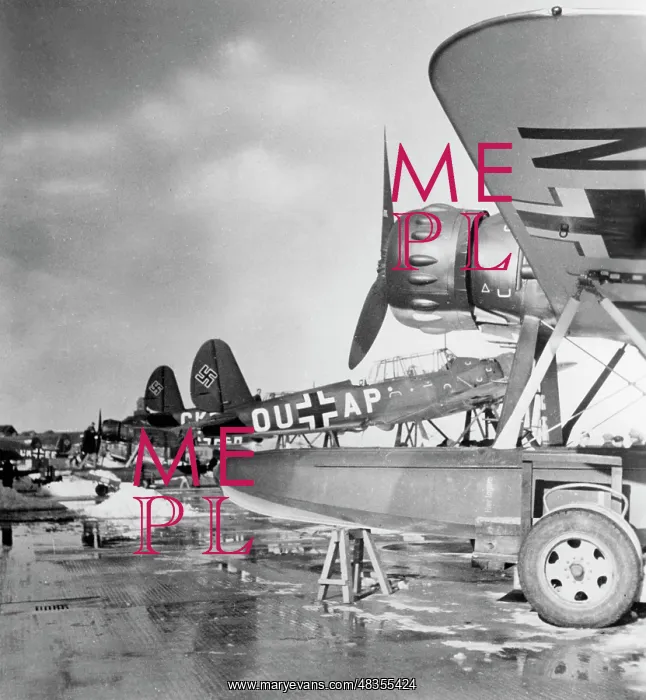  : Arado Ar 196 Seaplane
