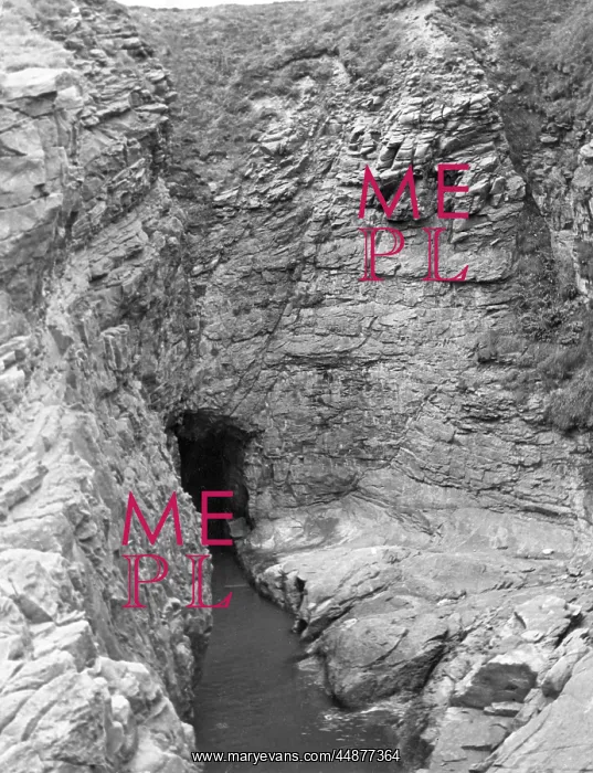 : ARBROATH CAVES : ARBROATH CAVES