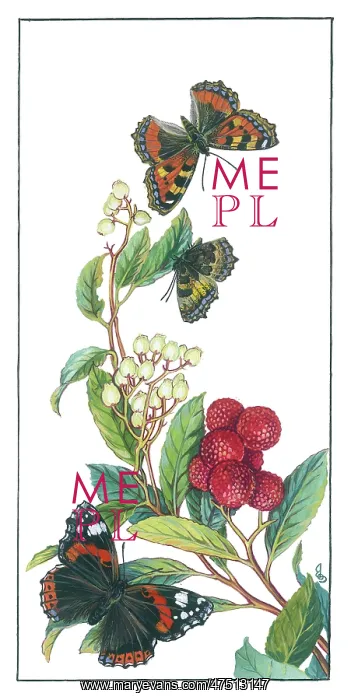 : Arbutus and red admiral butterflies : Arbutus and red admiral butterflies