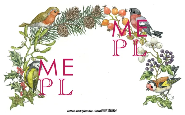 : Arch shaped design with great tit, robin, etc : Arch shaped design with great tit, robin, etc
