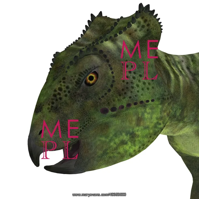 : Archaeoceratops dinosaur head : Archaeoceratops dinosaur head