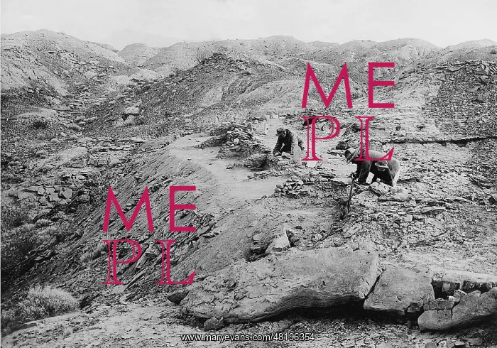 : Archaeological excavations in Nevada, 1925 : Archaeological excavations in Nevada, 1925