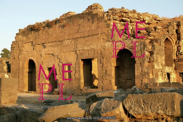  : Archaeological site of Bosra, Syria