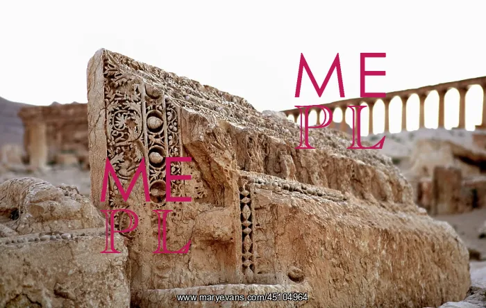  : Archaeological site of Palmyra, Syria