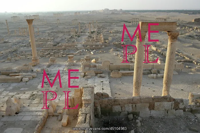 : Archaeological site of Palmyra, Syria : Archaeological site of Palmyra, Syria