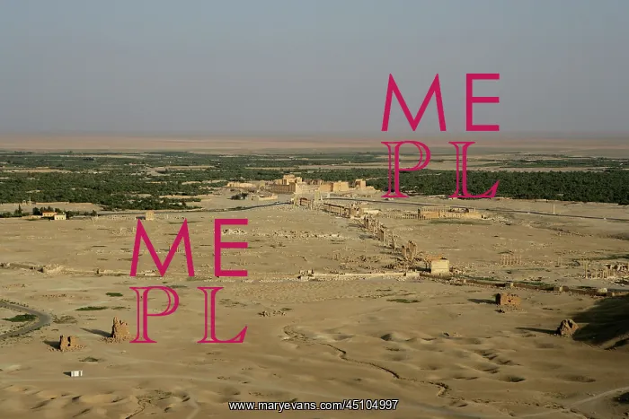 : Archaeological site of Palmyra, Syria : Archaeological site of Palmyra, Syria