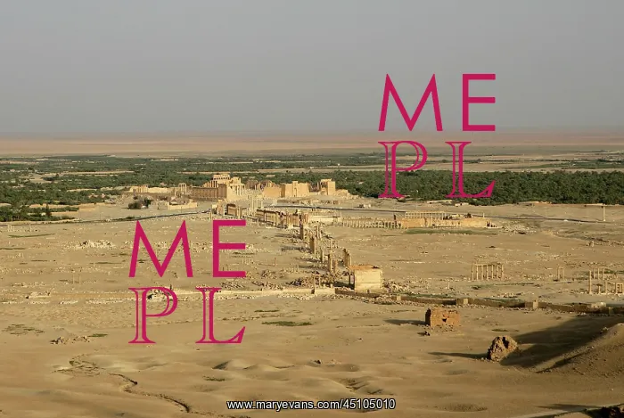 : Archaeological site of Palmyra, Syria : Archaeological site of Palmyra, Syria