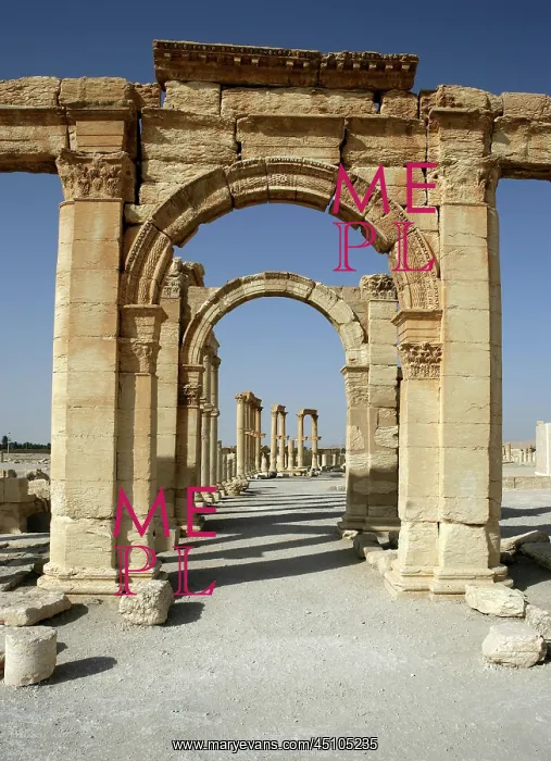 : Archaeological site of Palmyra, Syria : Archaeological site of Palmyra, Syria