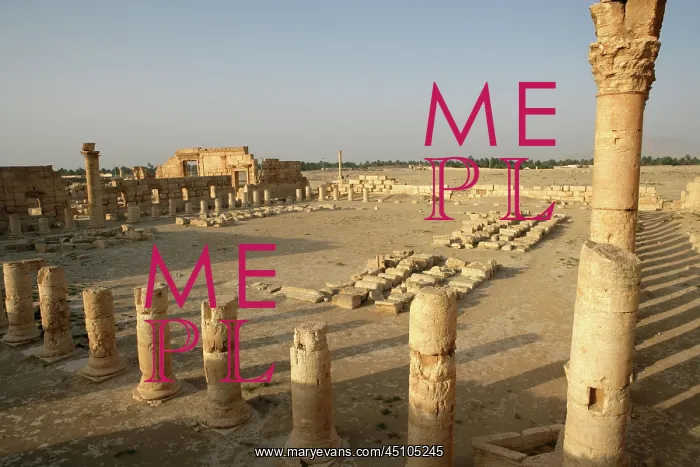 : Archaeological site of Palmyra, Syria : Archaeological site of Palmyra, Syria