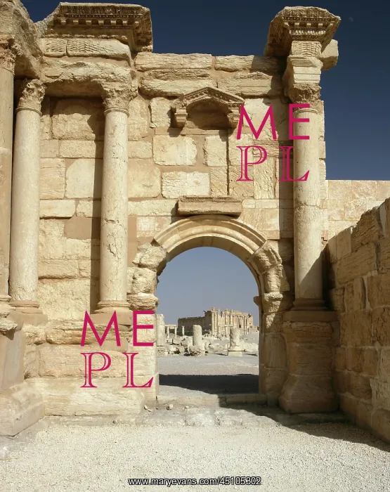 : Archaeological site of Palmyra, Syria : Archaeological site of Palmyra, Syria