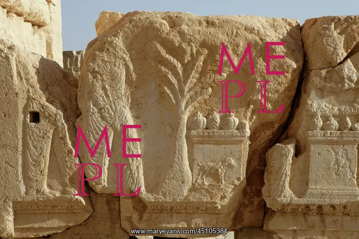 : Archaeological site of Palmyra, Syria : Archaeological site of Palmyra, Syria