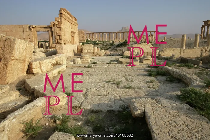 : Archaeological site of Palmyra, Syria : Archaeological site of Palmyra, Syria