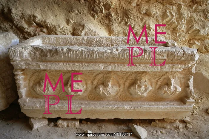: Archaeological site of Palmyra, Syria : Archaeological site of Palmyra, Syria