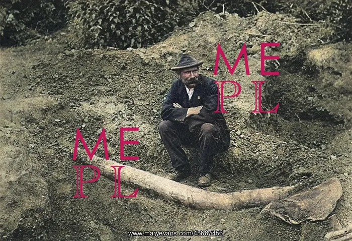 : An archaeologist sits next to the unearthed remains : An archaeologist sits next to the unearthed remains