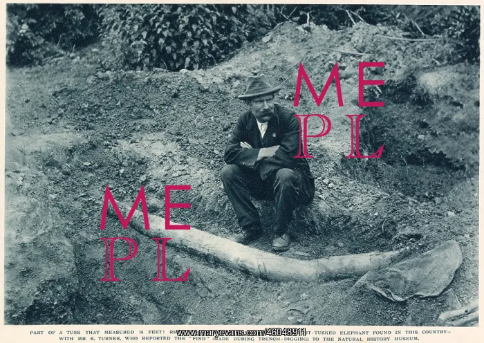 : An archaeologist sits next to the unearthed remains : An archaeologist sits next to the unearthed remains