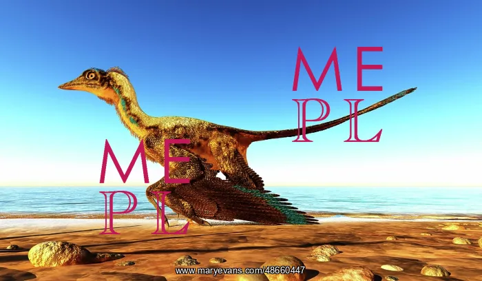  : Archaeopteryx on the beach