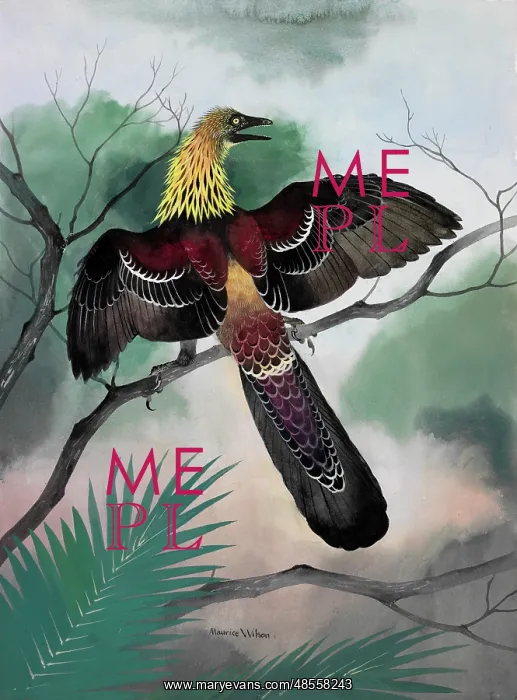 : Archaeopteryx - bird-like dinosaur : Archaeopteryx - bird-like dinosaur