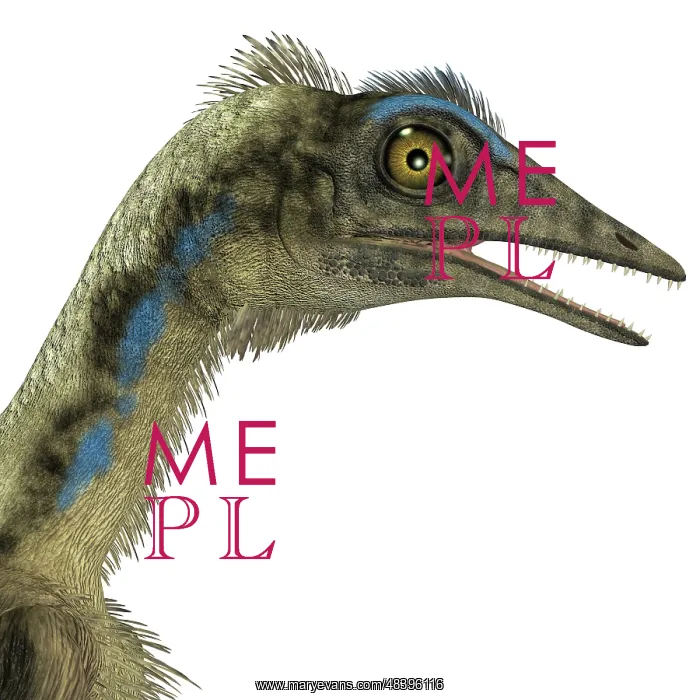 : Archaeopteryx is a carnivorous bird that lived during the ? : Archaeopteryx is a carnivorous bird that lived during the ?