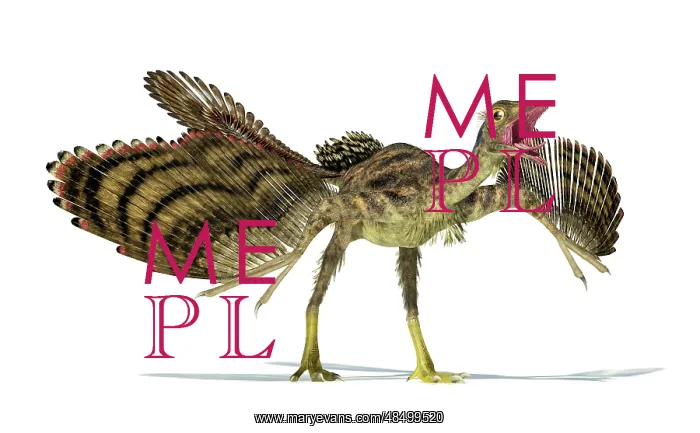 : Archaeopteryx dinosaur on white background : Archaeopteryx dinosaur on white background