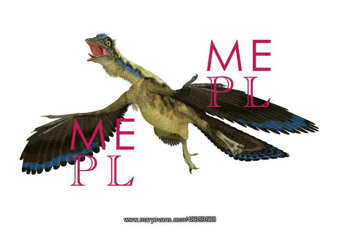 : Archaeopteryx flying reptile on white background : Archaeopteryx flying reptile on white background