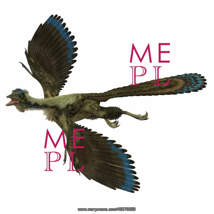 : Archaeopteryx prehistoric bird : Archaeopteryx prehistoric bird
