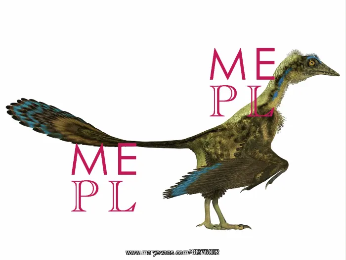 : Archaeopteryx prehistoric bird : Archaeopteryx prehistoric bird