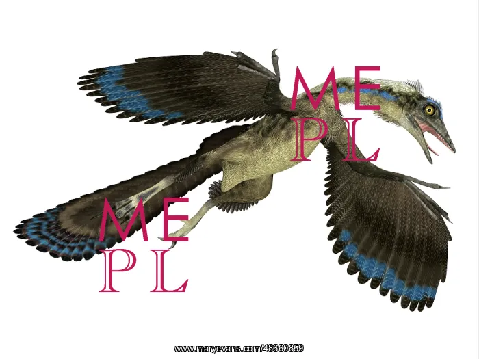 : Archaeopteryx reptile in flight : Archaeopteryx reptile in flight