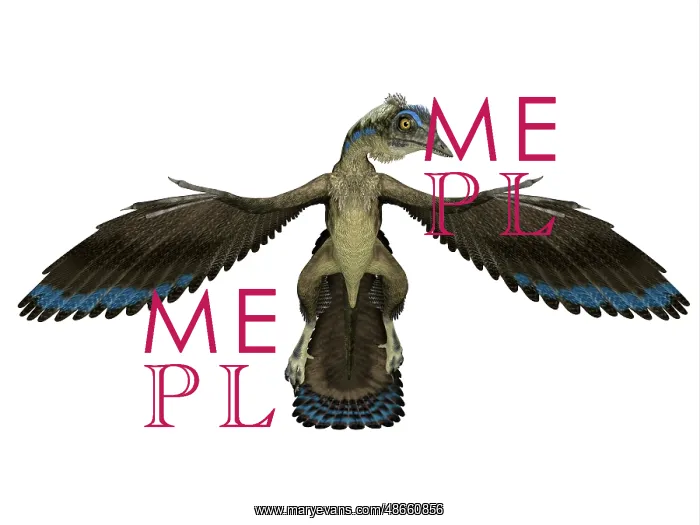 : Archaeopteryx reptile, front view : Archaeopteryx reptile, front view