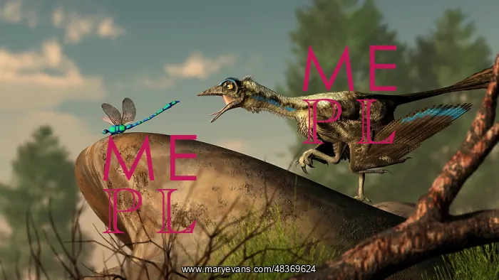 : An Archaeopteryx stalks a dragonfly on a rock : An Archaeopteryx stalks a dragonfly on a rock