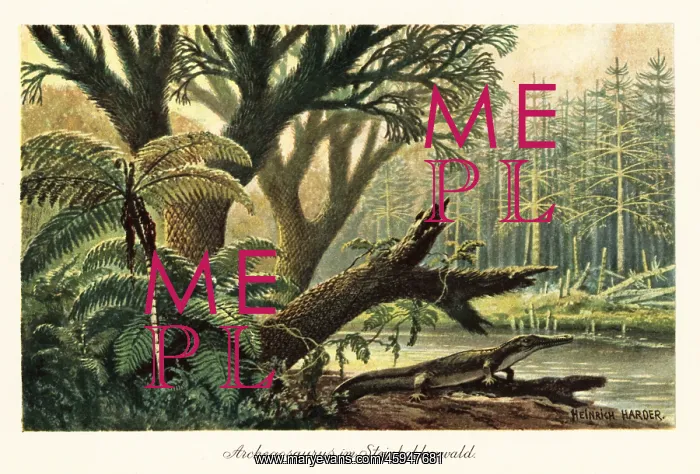 : Archegosaurus decheni by a river in a primordial jungle : Archegosaurus decheni by a river in a primordial jungle