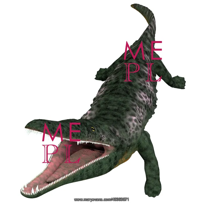 : Archegosaurus prehistoric amphibian, white background : Archegosaurus prehistoric amphibian, white background