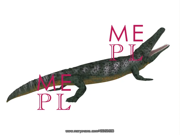 : Archegosaurus side profile : Archegosaurus side profile