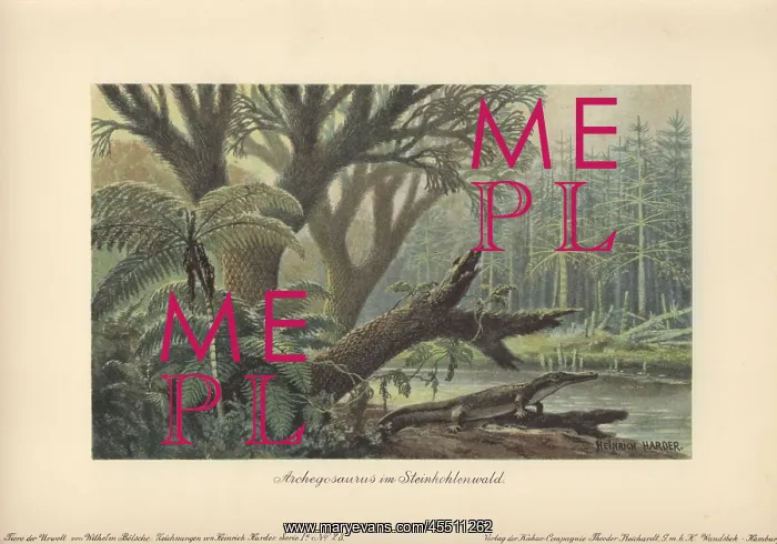  : An archegosaurus by a river bank in a tropical