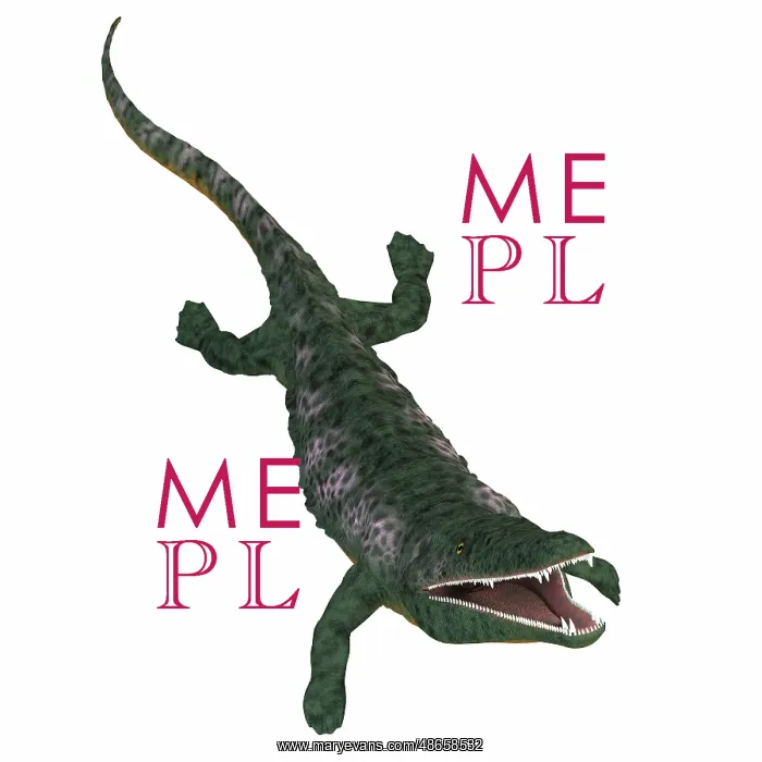 : Archegosaurus on white background : Archegosaurus on white background