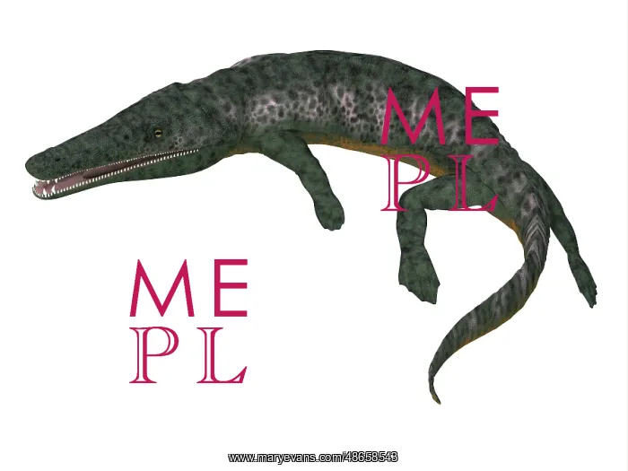 : Archegosaurus on white background : Archegosaurus on white background
