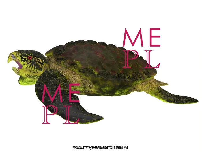 : Archelon sea turtle side profile : Archelon sea turtle side profile