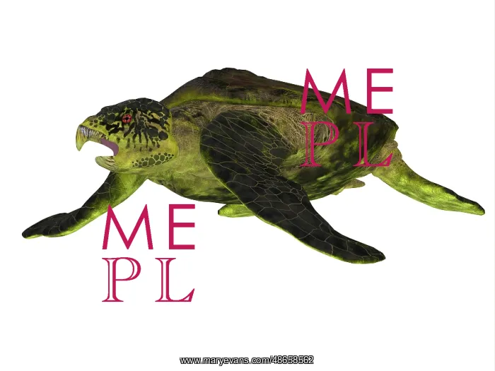 : Archelon sea turtle on white background : Archelon sea turtle on white background